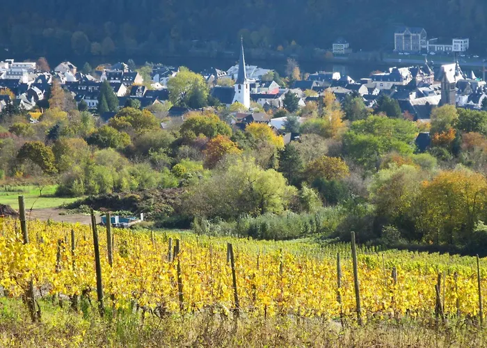In Mit Kleinem Garten By Interhome Traben-Trarbach